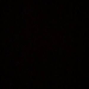 Meet your Posher, Elsa